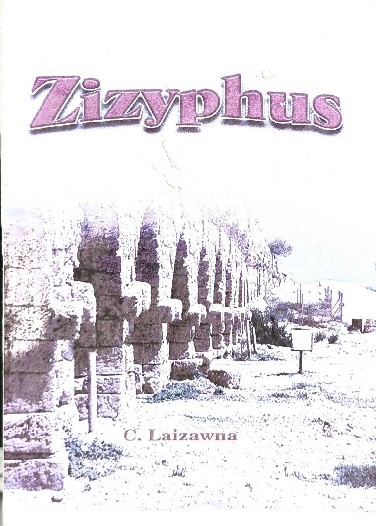 Zizyphus